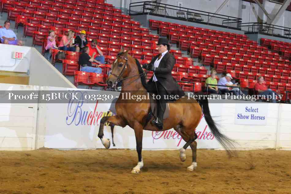 Proof 15BUCK_03230
