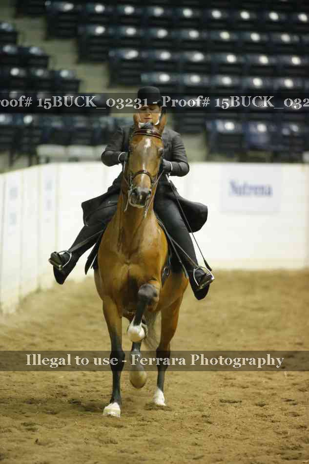 Proof 15BUCK_03231