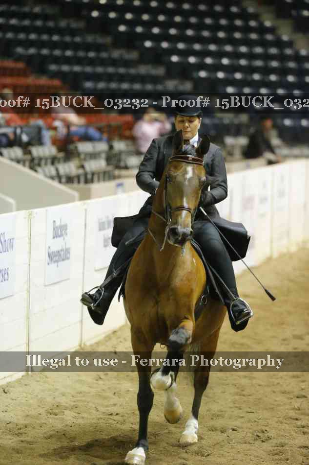 Proof 15BUCK_03232