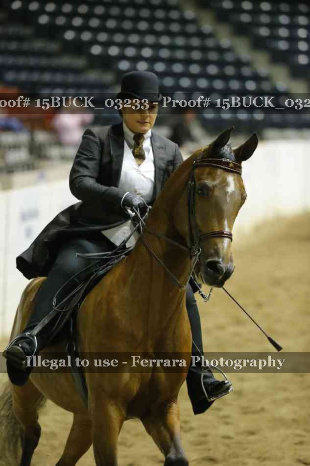 Proof 15BUCK_03233