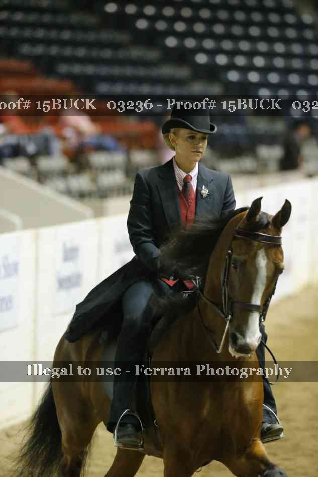 Proof 15BUCK_03236