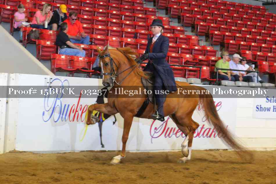 Proof 15BUCK_03237