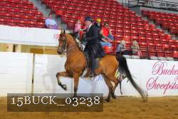 15BUCK_03238 proof