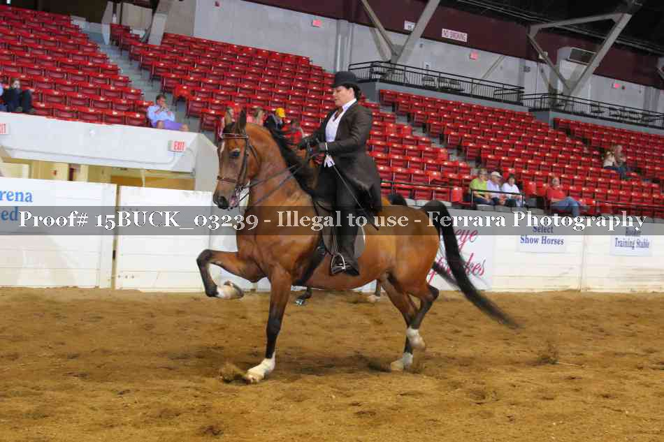 Proof 15BUCK_03239