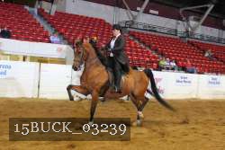 15BUCK_03239 proof