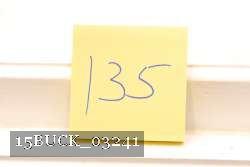 15BUCK_03241 proof