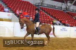 15BUCK_03242 proof