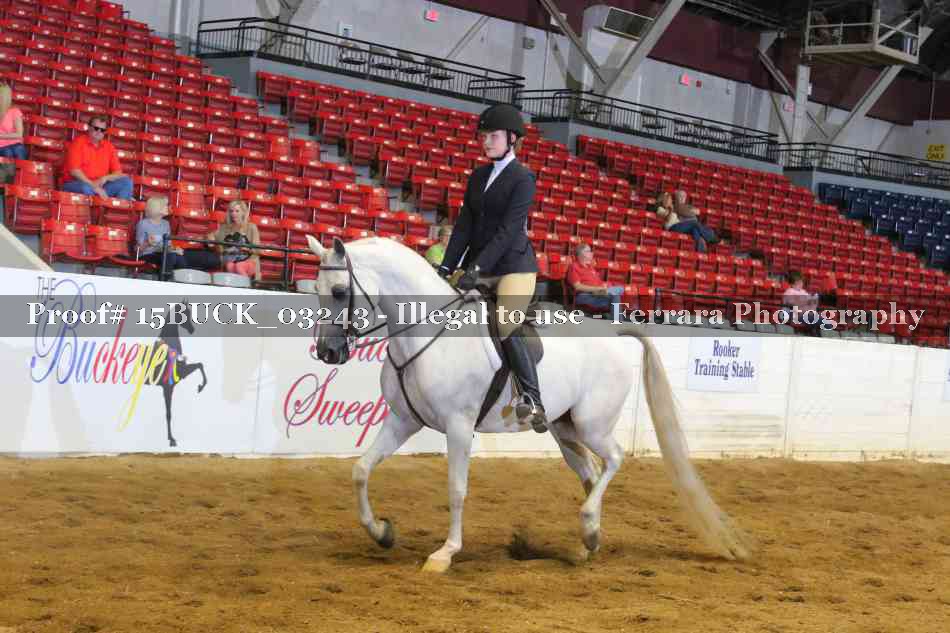 Proof 15BUCK_03243