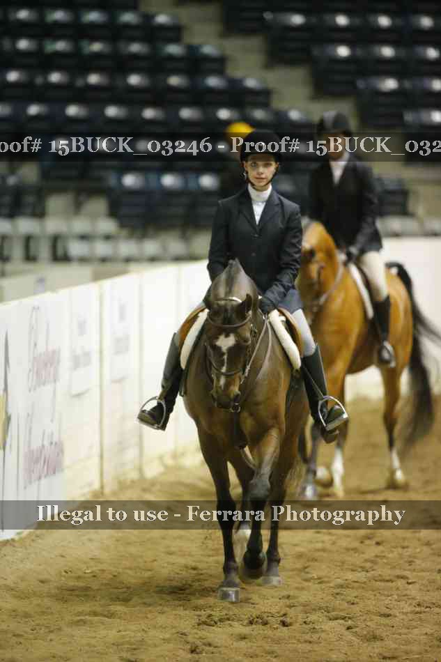 Proof 15BUCK_03246