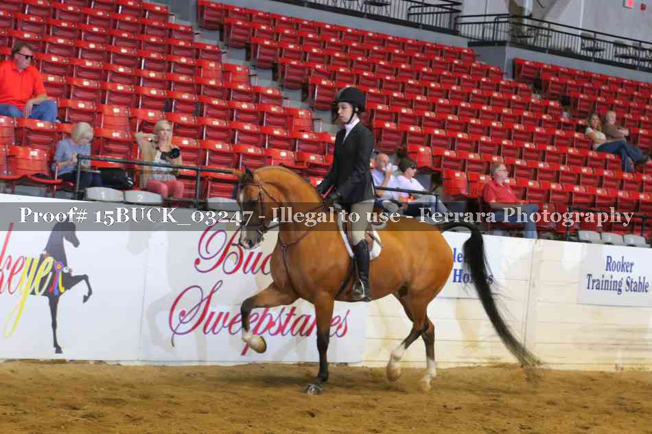 Proof 15BUCK_03247