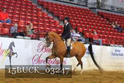 15BUCK_03247 proof