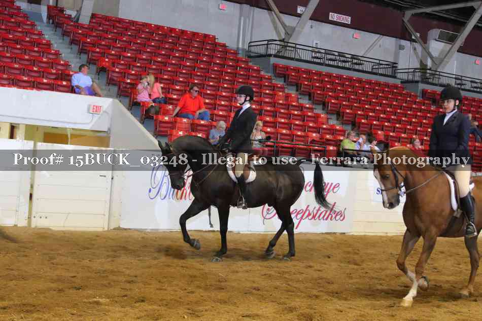 Proof 15BUCK_03248