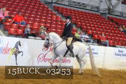 15BUCK_03253 proof