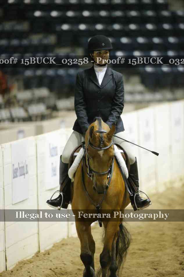 Proof 15BUCK_03258