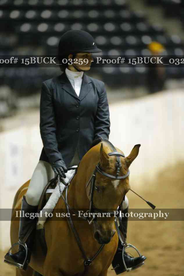 Proof 15BUCK_03259