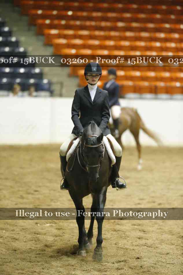 Proof 15BUCK_03260