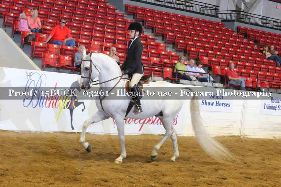 Proof 15BUCK_03261