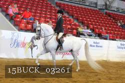 15BUCK_03261 proof