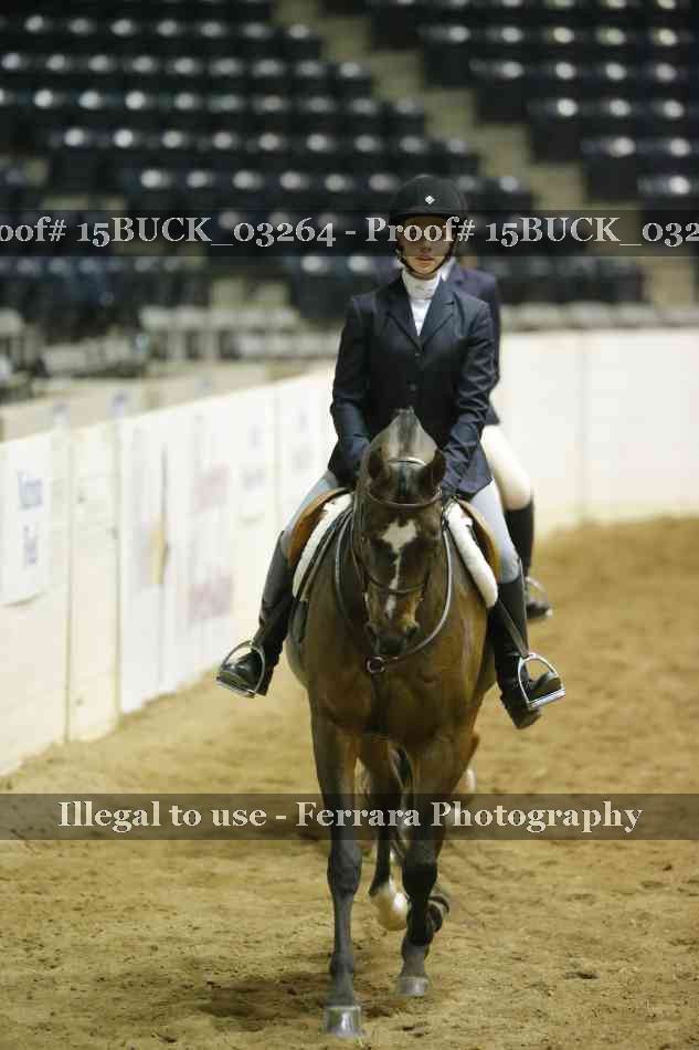 Proof 15BUCK_03264