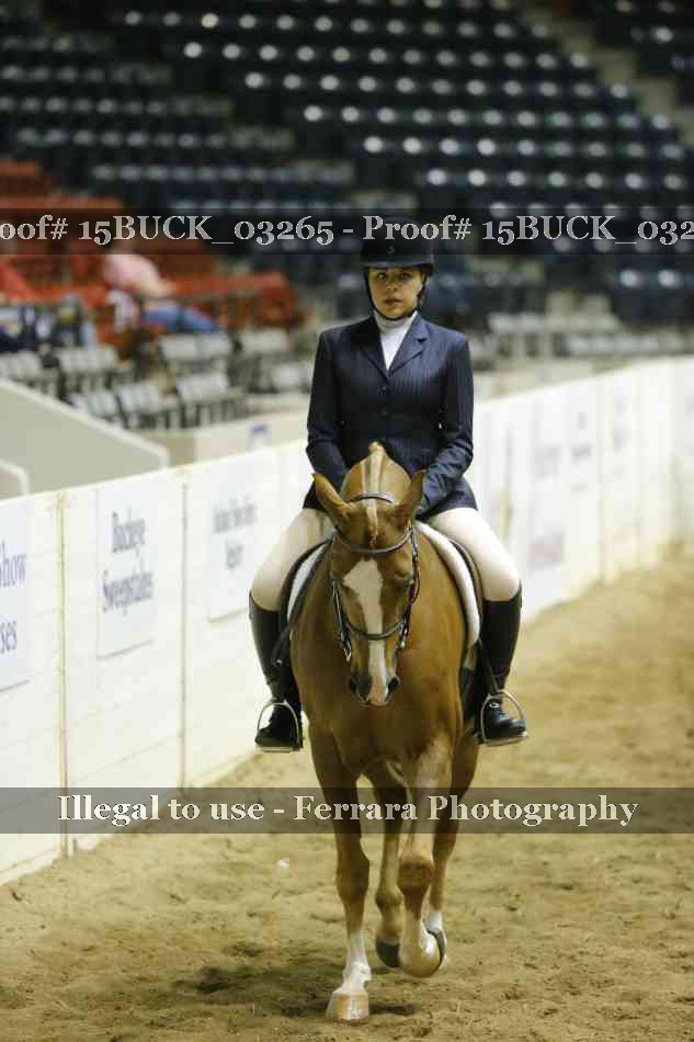 Proof 15BUCK_03265