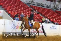 15BUCK_03268 proof