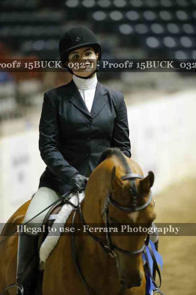 Proof 15BUCK_03271
