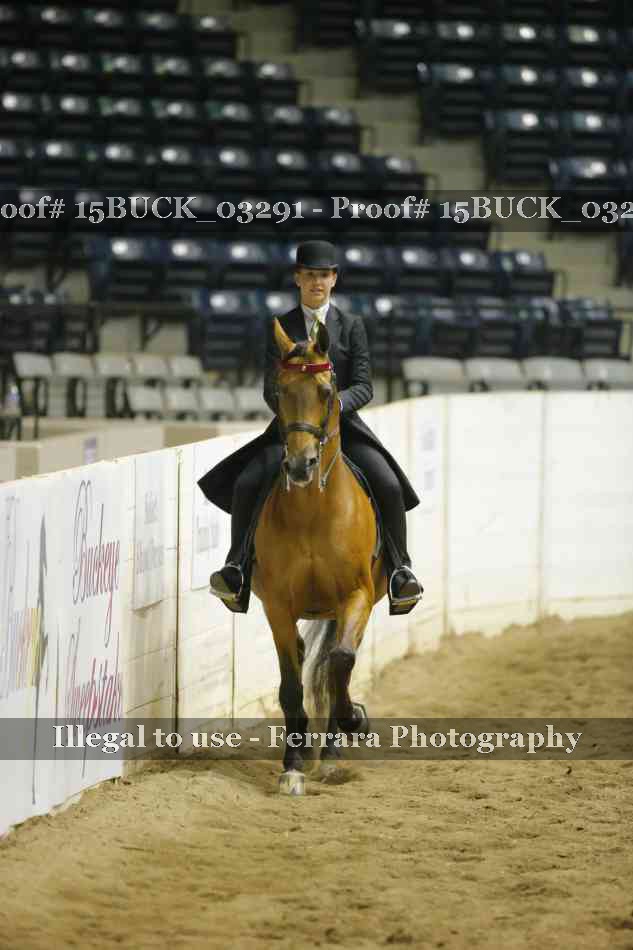 Proof 15BUCK_03291