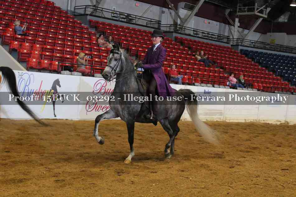 Proof 15BUCK_03292