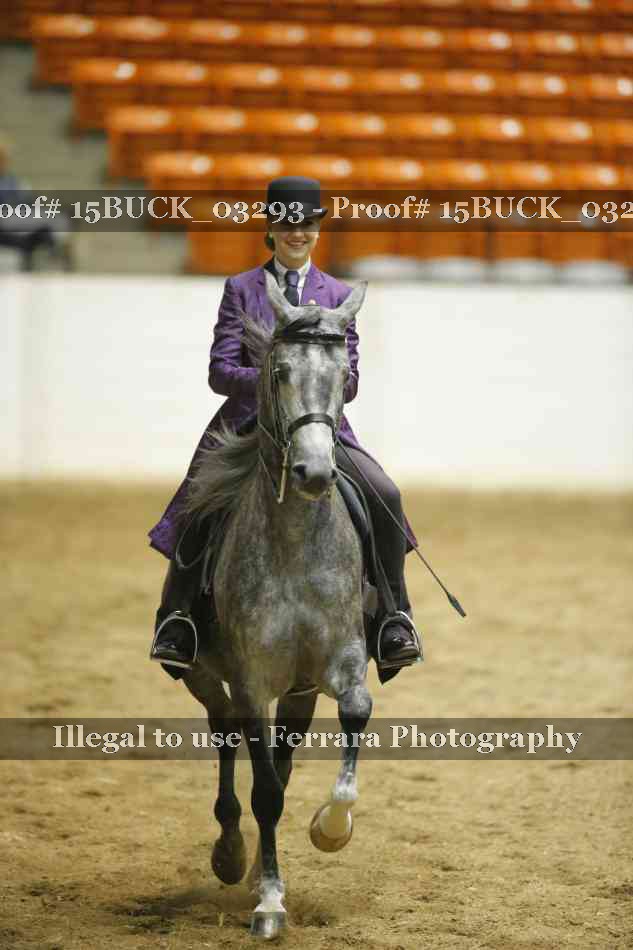 Proof 15BUCK_03293