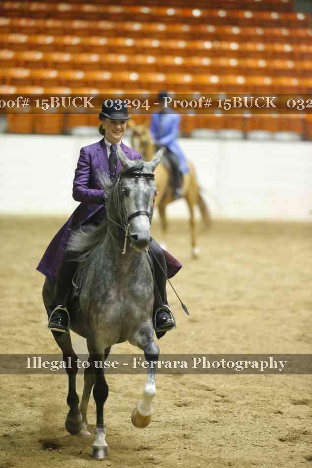 Proof 15BUCK_03294