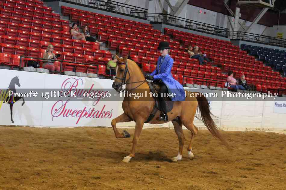 Proof 15BUCK_03296