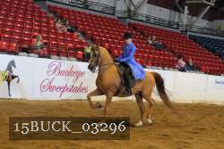 15BUCK_03296 proof