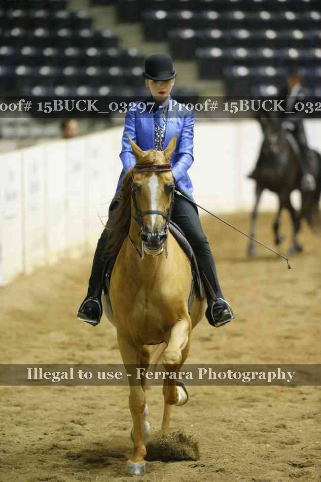 Proof 15BUCK_03297