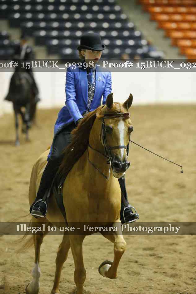 Proof 15BUCK_03298