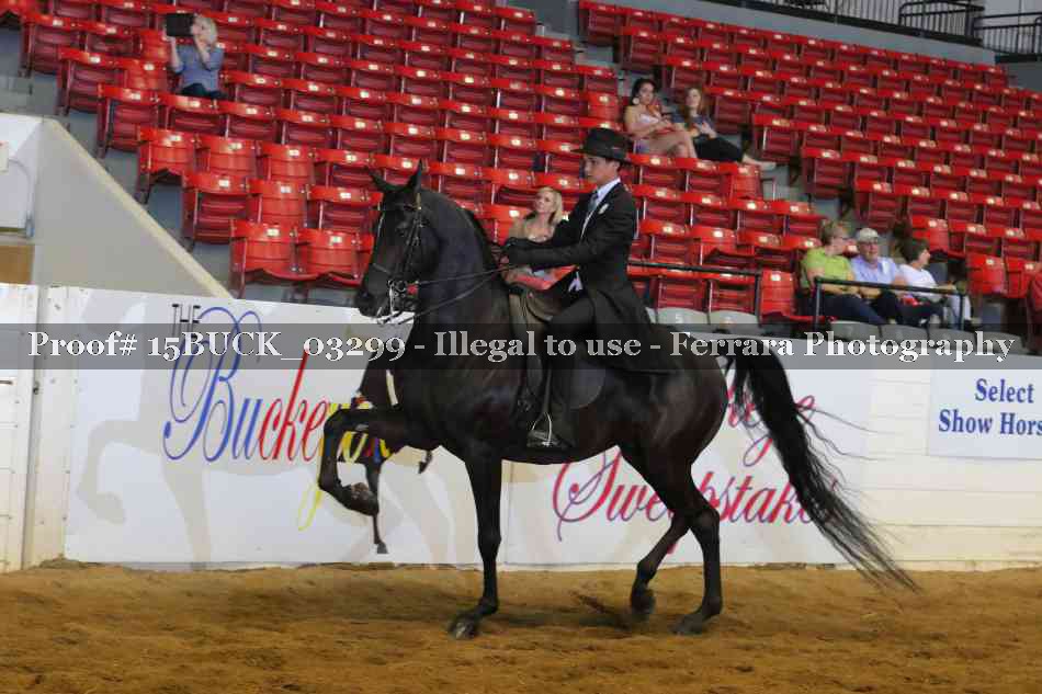 Proof 15BUCK_03299