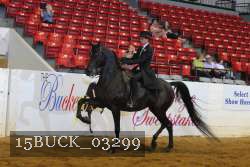 15BUCK_03299 proof