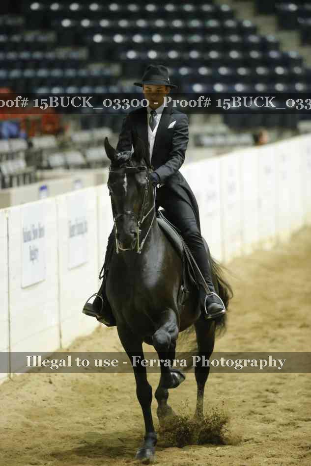 Proof 15BUCK_03300