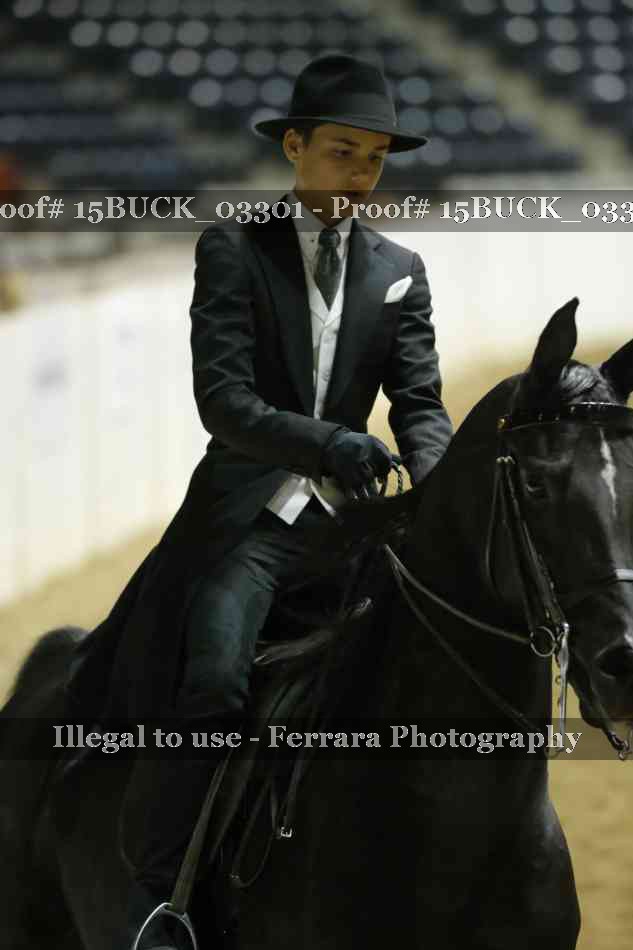 Proof 15BUCK_03301