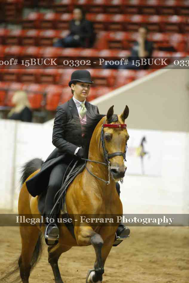 Proof 15BUCK_03302