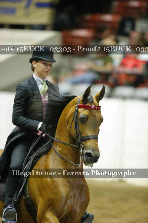 Proof 15BUCK_03303