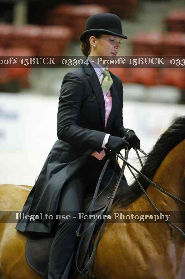 Proof 15BUCK_03304