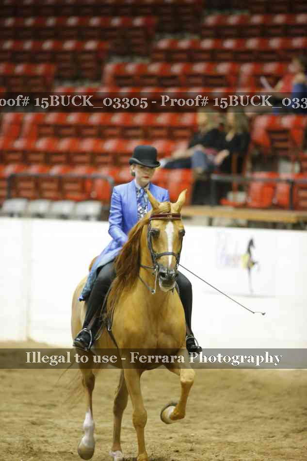 Proof 15BUCK_03305