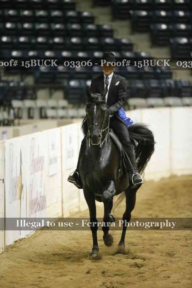 Proof 15BUCK_03306
