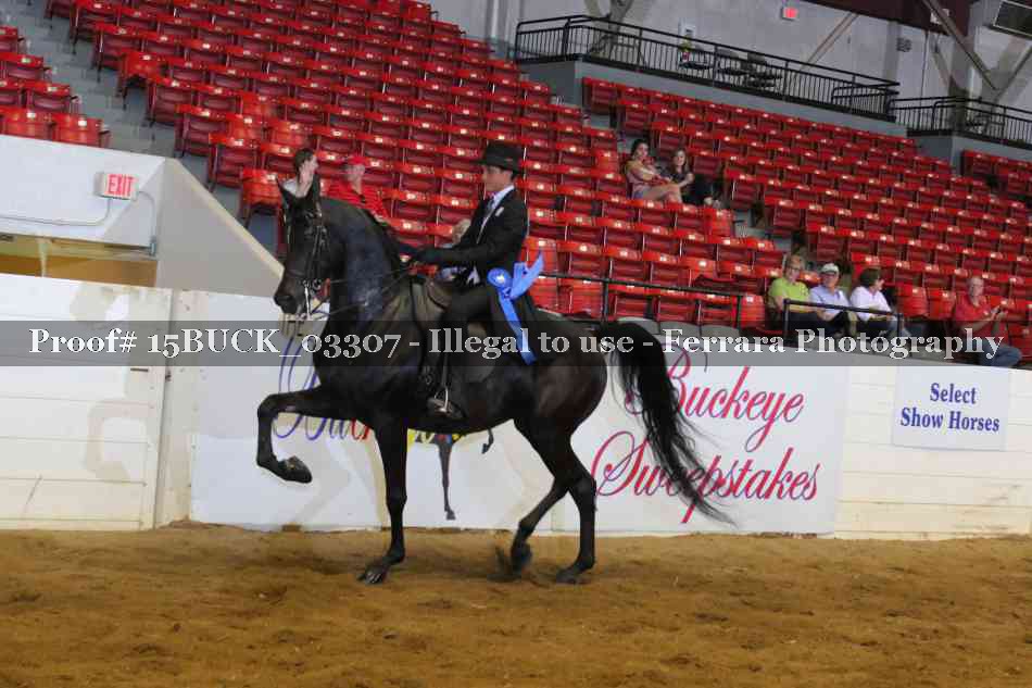 Proof 15BUCK_03307