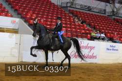 15BUCK_03307 proof
