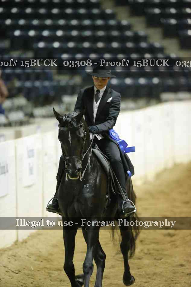 Proof 15BUCK_03308