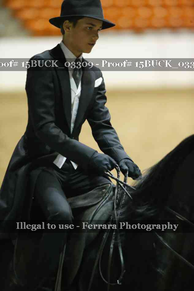 Proof 15BUCK_03309