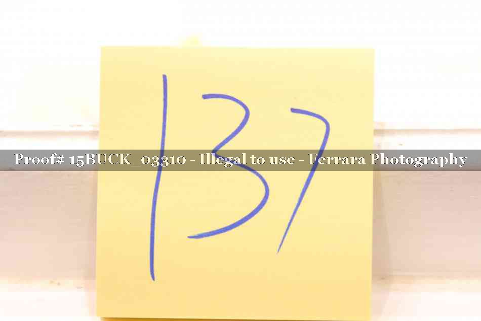 Proof 15BUCK_03310