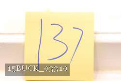 15BUCK_03310 proof