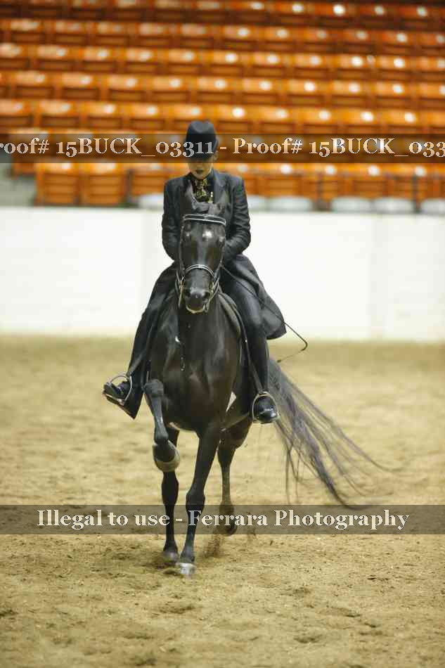 Proof 15BUCK_03311
